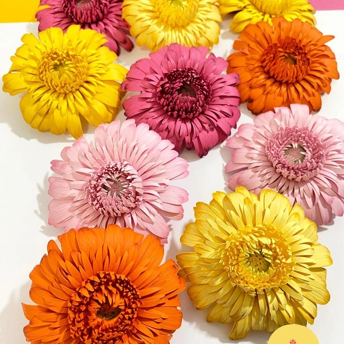 Flores de papel artesanais personalizadas para decoração de festas e eventos